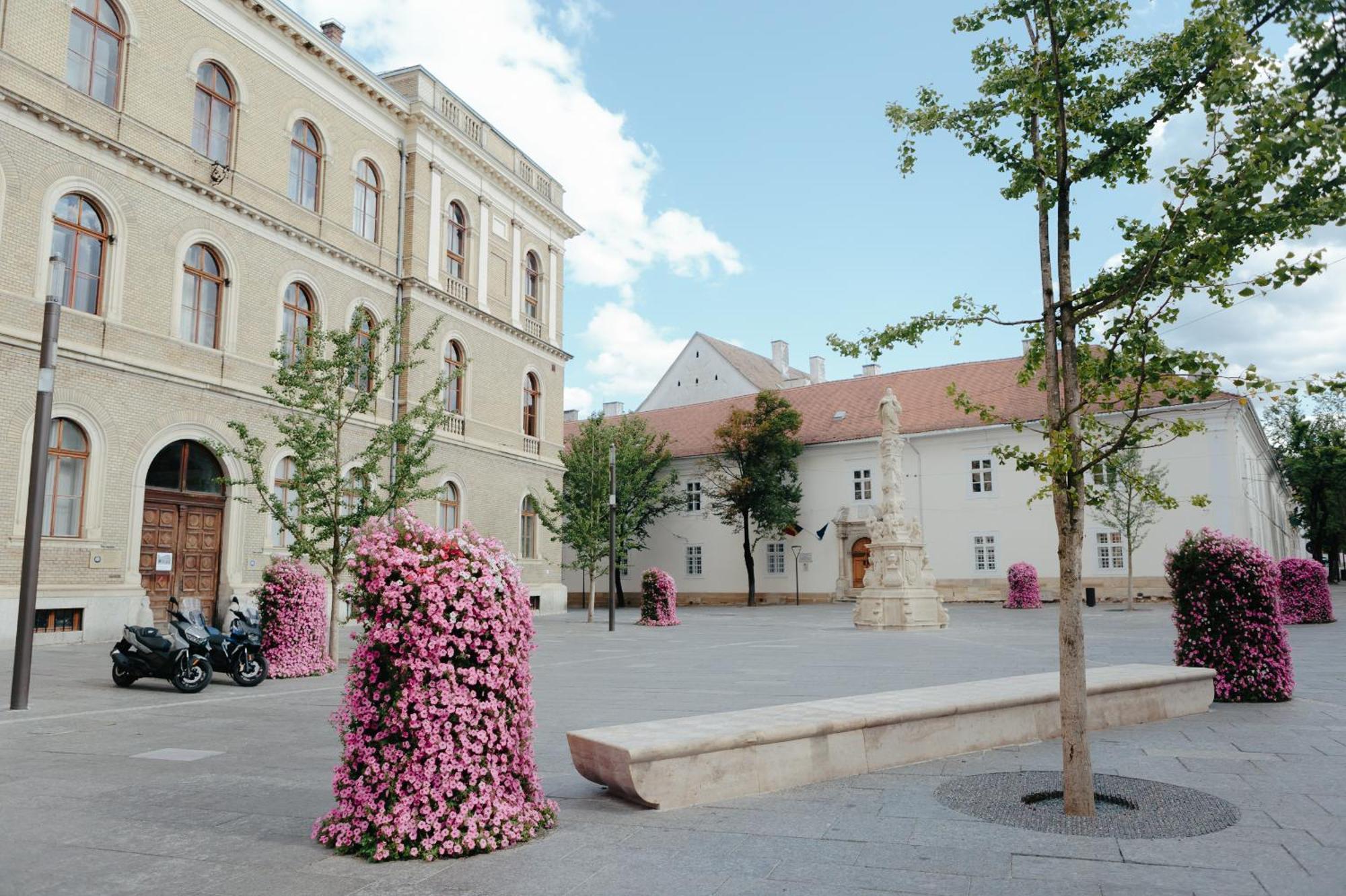 Contessa Apartment Cluj Napoca Luaran gambar